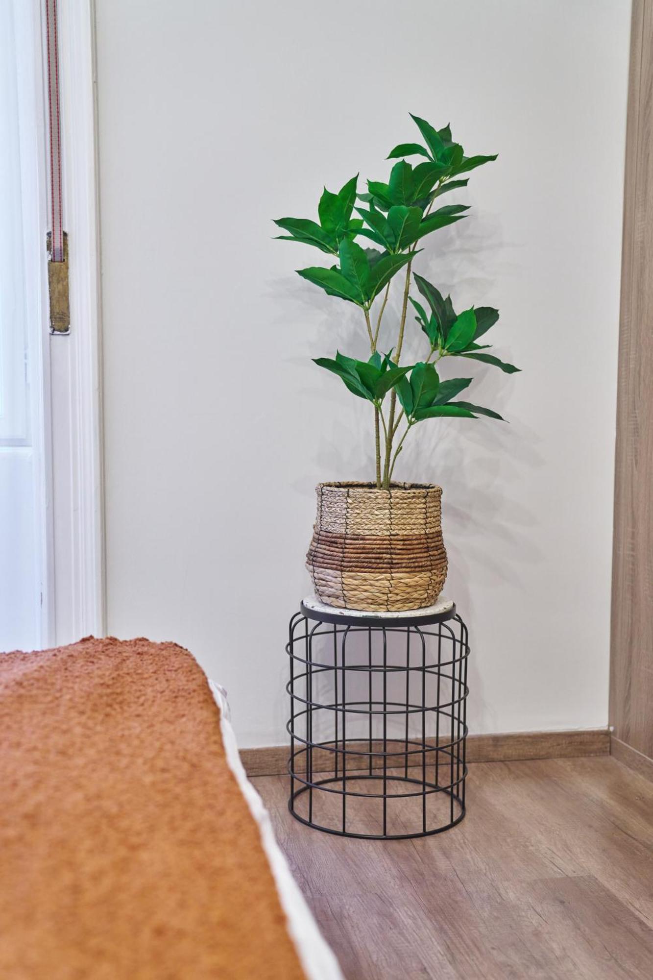 Kertesz Magic Vibe Apartmán